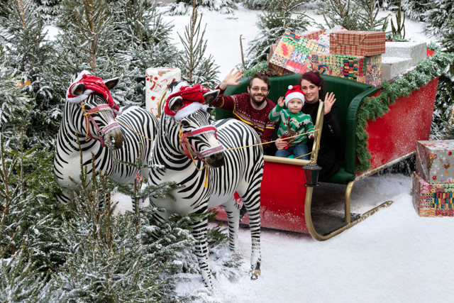 Santa Safari at West Midland Safari Park