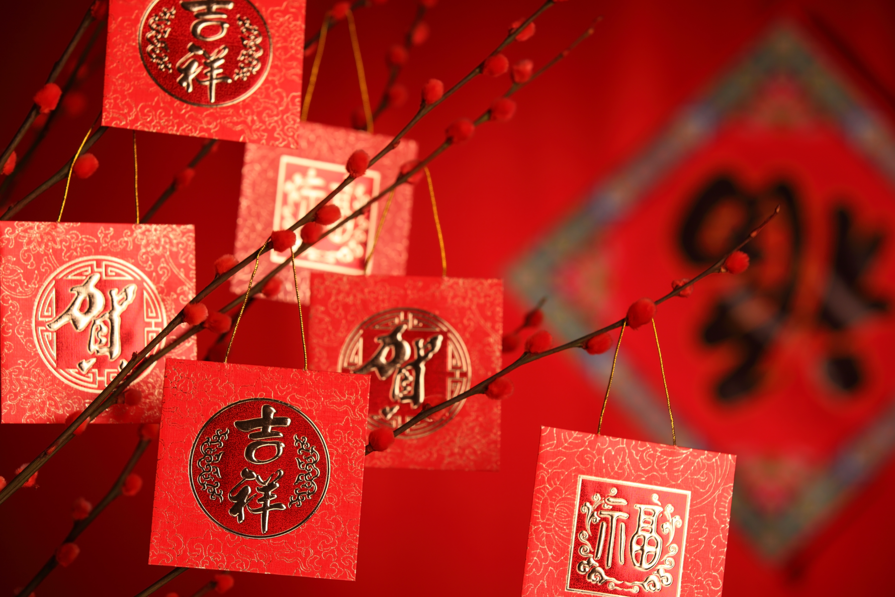 Chinese characters on New Years cards
